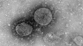 中國疾控中心18日晚間發布北京市本土疫情及病毒基因組序列資料，官方專家稱，初步研究結果顯示，病毒來自歐洲。圖為中國發布的新型冠狀病毒影像。（圖取自中國預防疾病控制中心網頁chinacdc.cn）