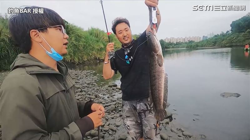 釣到50公分巨魚　網驚好像遠古生物