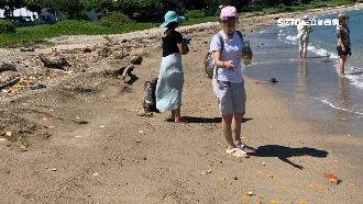 撒詭異彩紙遭攔阻　女嗆：海水會泡爛