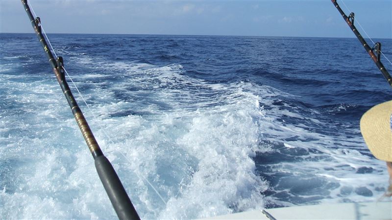 釣到264公斤深海巨怪　少女破紀錄