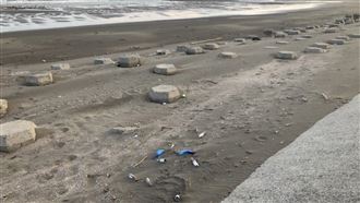 女嬰疑遭虐殺　小三籌不出保金被收押