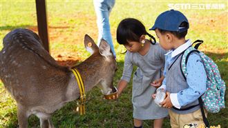 攜手抗疫！埔心牧場：努力撐著不缺席
