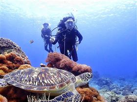 名家專用／草根影響力新視野（勿用）