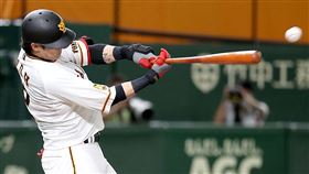 陽岱鋼敲出安打帶有2分打點。（圖／翻攝自巨人推特）