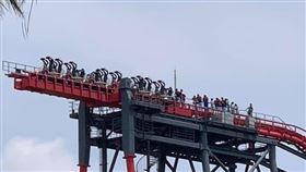 嚇壞！台中麗寶雲霄飛車故障　15名遊客「卡在高空」