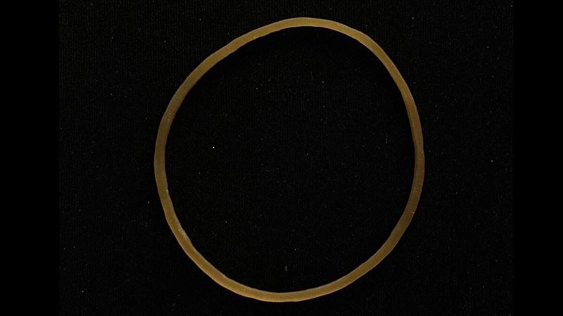 他搶先全球「拍到日環食」網認輸跪了