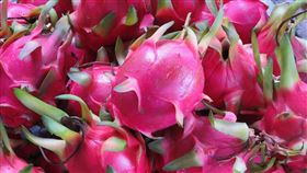 火龍果（圖／翻攝自pixabay）