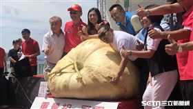 大南瓜比賽（新北市農業局提供）