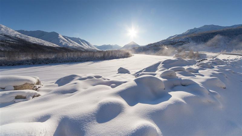地球生病？北極圈小鎮竟現38度高溫