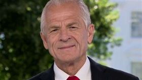 白宮貿易顧問納瓦洛（圖／翻攝自推特）