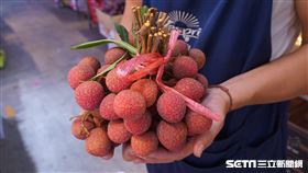 荔枝（臺北市市場處提供）