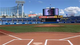 ▲明治神宮球場（圖／翻攝自推特）