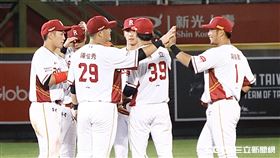樂天桃猿獲勝團隊慶祝。（資料圖／記者林聖凱攝影）