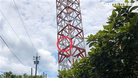 鐵塔,基隆,男子,攀爬　翻攝畫面