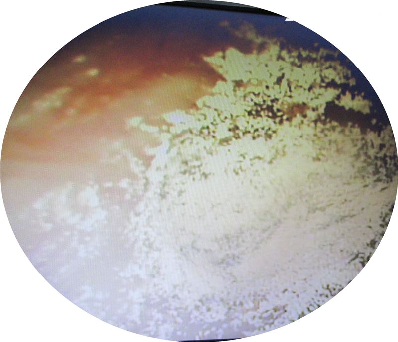 專家也提醒，黑黴菌產生的孢子含有毒素，長期吸入或接觸會引發呼吸道疾病及嚴重的過敏反應。示意圖為黴菌（示意圖／資料照）