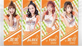 ▲統一獅啦啦隊個人應援毛巾（圖／統一獅隊提供）