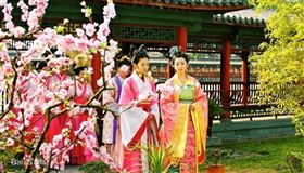 ▲妃子；宮女；太監（圖／翻攝自百度百科）