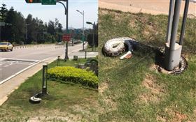 2公尺巨蟒纏插地燈！她靠近見「翻肚蜷曲」嚇傻：陣亡了…（圖／翻攝自靠北金門）