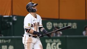 ▲「鯊魚哥」帕拉（Gerardo Parra）連2場開轟。（圖／翻攝自讀賣巨人台灣粉絲團）