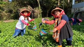 （圖／Tripbaa趣吧！達人帶路）