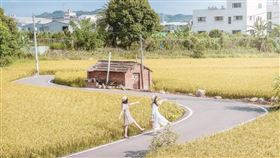 台中大里伯朗大道（IG使用者提供）
