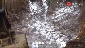 活埋竹鼠（截圖自鳳凰視頻）