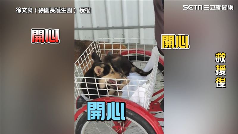 斷掌浪浪重獲新生 兜風幸福的笑了