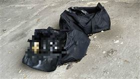 高雄，愛河，屍袋，骨頭，屍塊，旅行袋（圖／翻攝畫面）
