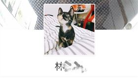 大頭貼,授權,判刑,拘役,提告,侵權