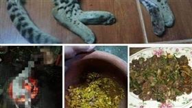 泰國,殘忍,火烤,石虎,保育,動物,人類,晚餐
https://www.facebook.com/WDT.foundation/photos/a.1655553021251898/1655553854585148/?type=3&theater