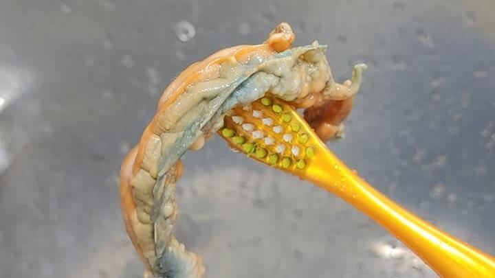 二手酒倒出「外星生物」　行家揭密！