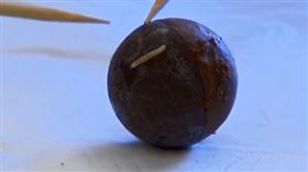 （圖／翻攝自看看新聞）中國,上海,巧克力,活蛆