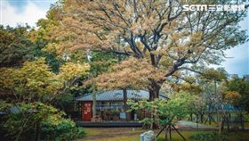 湖畔生活,湖畔料亭,日式建築（圖／林裕治授權使用）