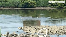 台北市永福橋下發現1具男性浮屍。（圖／讀者提供）