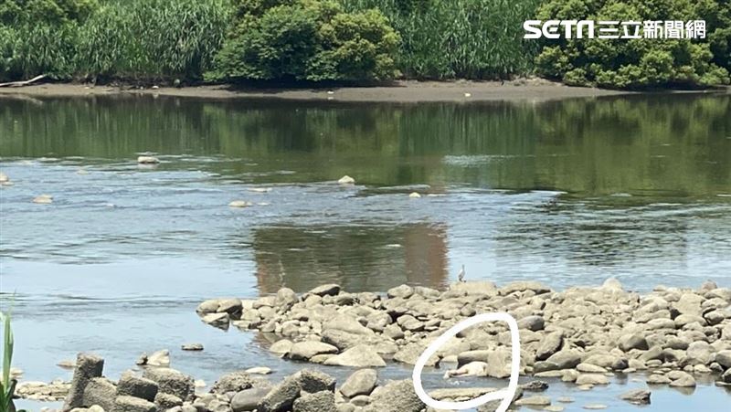 北市永福橋傳命案　男屍水面載浮載沉