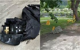 高雄,分屍,愛河,屍塊,性器官,情殺,生殖器