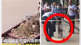 四川清潔工在河面撈到男嬰屍體（圖／翻攝自沸點視頻）