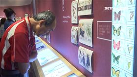 郵票,昆蟲,展覽,生物,台中