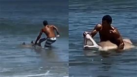 男徒手抓鯊「掰開鯊口」拍照…網罵爆
美國,鯊魚,沙虎鯊,德拉瓦州,保育
翻攝自《FOX 5 DC》