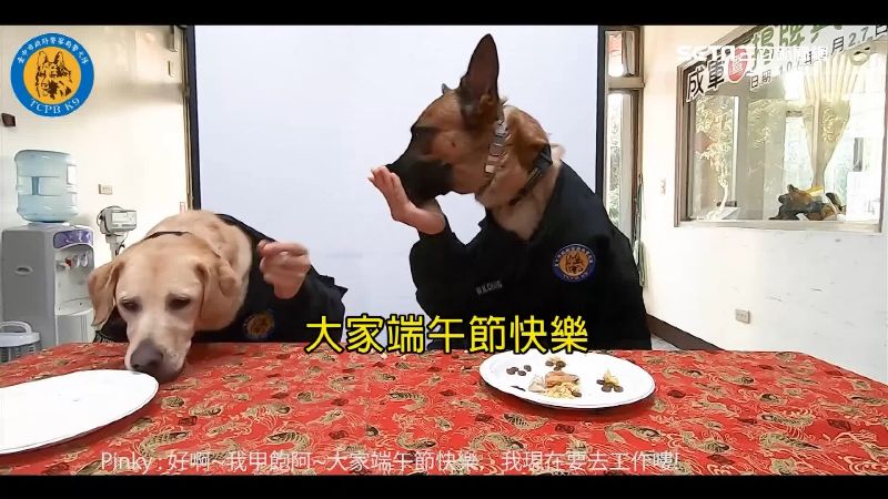 警犬賣萌吃粽　警揮汗拍片換「笑果」