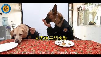 警犬賣萌吃粽　警揮汗拍片換「笑果」