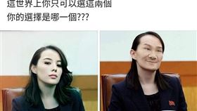 館長,金與正,北韓,金正恩,陳之漢 圖／翻攝自臉書