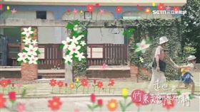 端午連假,新竹縣長,楊文科,桐花
業配