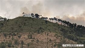 台中梨山森林大火／翻攝畫面
