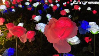 銀河玫瑰造浪漫夜景　微風南山夯打卡