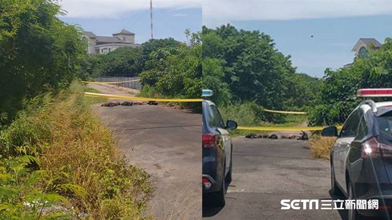 彰化6隻狗狗遭虐殺　屍體晾一排示眾