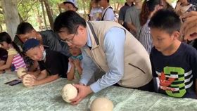 黃偉哲立蛋臉書