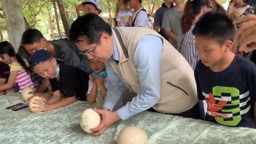 擁30倍好運　黃偉哲立鴕鳥蛋成功
