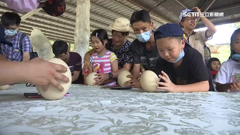 頑皮世界立鴕鳥蛋　動物陪拍網美照