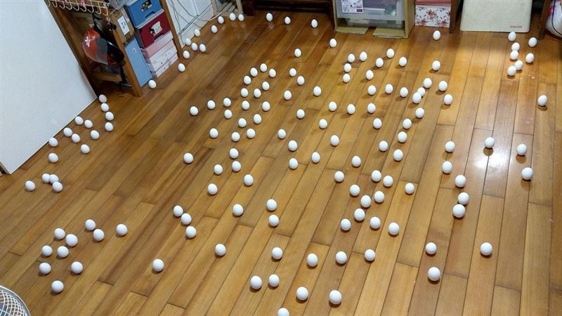 端午立蛋！他挑戰「153顆」超壯觀